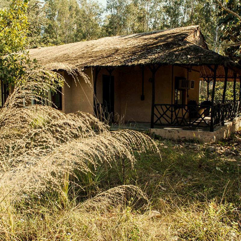 Jim'S Jungle Retreat Hotel รามนาการ์ ภายนอก รูปภาพ