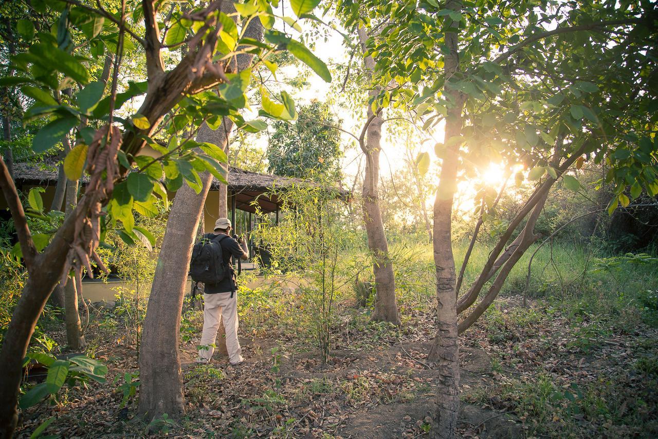 Jim'S Jungle Retreat Hotel รามนาการ์ ภายนอก รูปภาพ