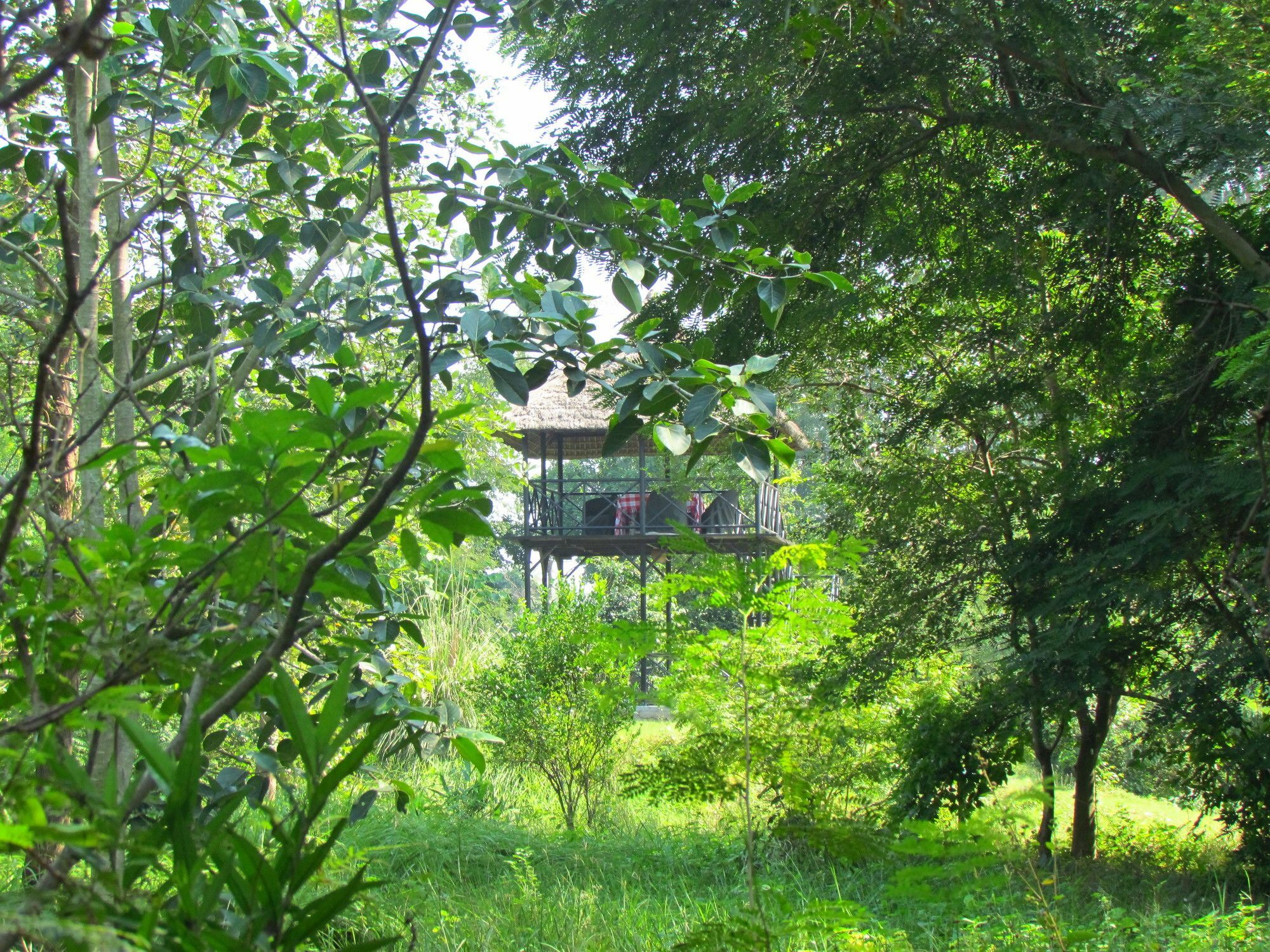 Jim'S Jungle Retreat Hotel รามนาการ์ ภายนอก รูปภาพ