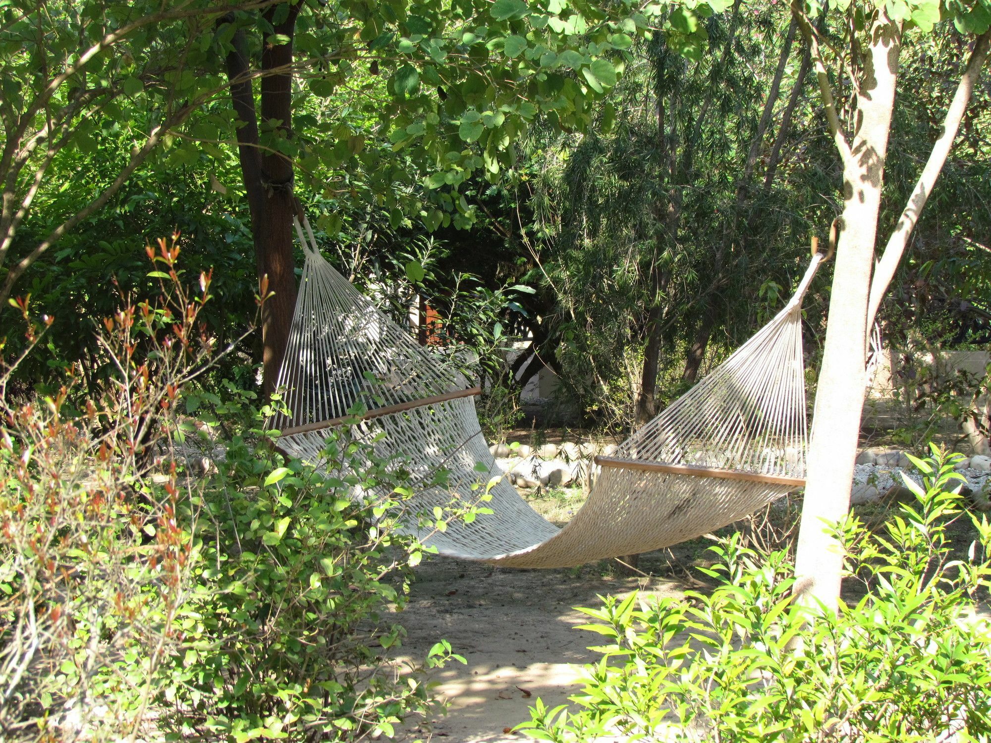 Jim'S Jungle Retreat Hotel รามนาการ์ ภายนอก รูปภาพ